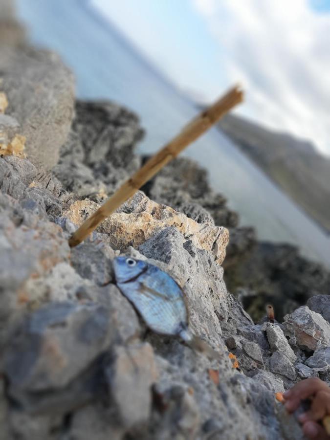 Finestra Azzurra Lägenhet San Vito Lo Capo Exteriör bild