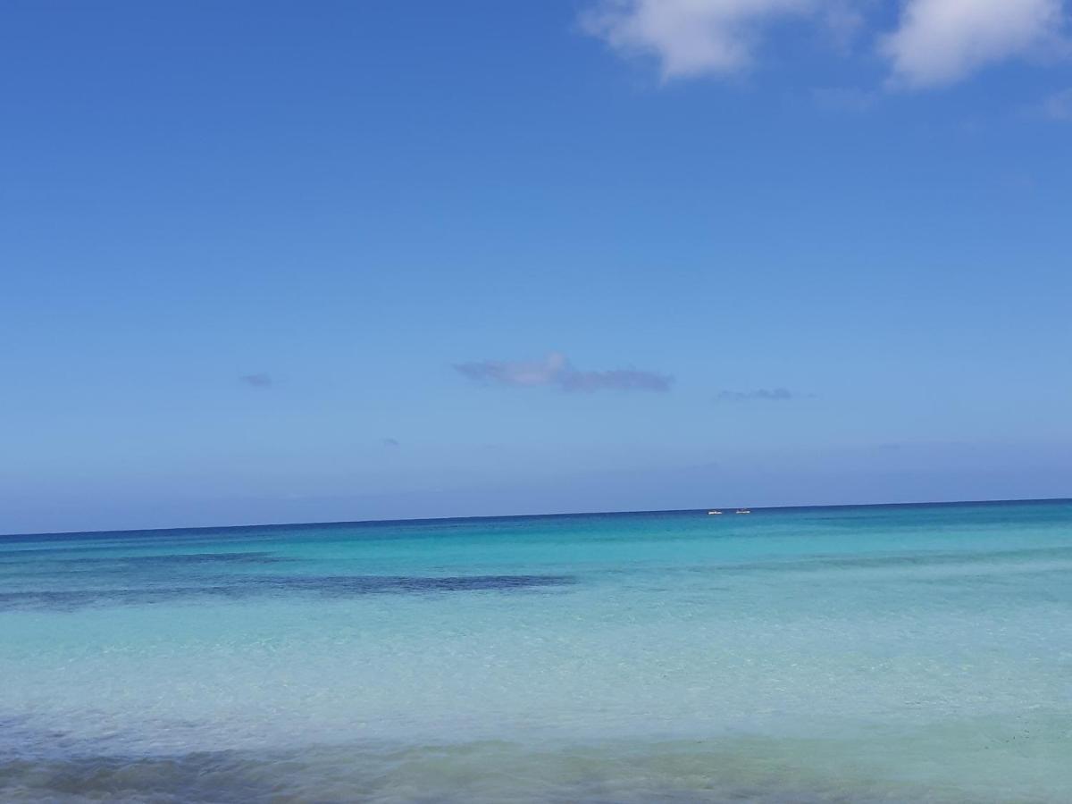 Finestra Azzurra Lägenhet San Vito Lo Capo Exteriör bild